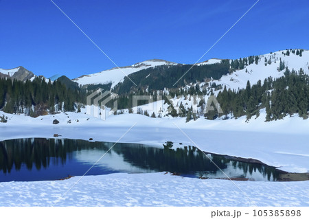 Mountain with snow and lake. Picturesque winter sunset in Swiss Alps, Grindelwald. The beauty of nature as a conceptual background. Small rivers and coniferous trees reflected in a calm alpine lake. Mountain with snow and lake. Picturesque winter sunset in Swiss Alps, Grindelwald. The beauty of nature as a conceptual background. Small rivers and coniferous trees reflected in a calm alpine lake. 105385898