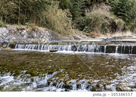 茨城県日立市　諏訪梅林内の鮎川 105386557