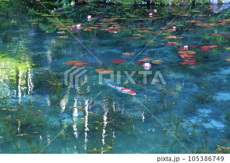 【岐阜県】名もなき池（モネの池）の絶景 105386749