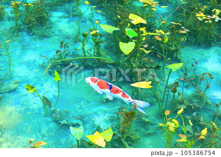 【岐阜県】名もなき池（モネの池）の絶景 105386754