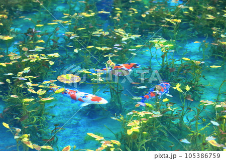 【岐阜県】名もなき池（モネの池）の絶景 105386759