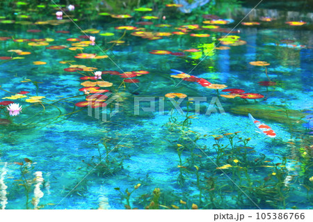 【岐阜県】名もなき池（モネの池）の絶景 105386766