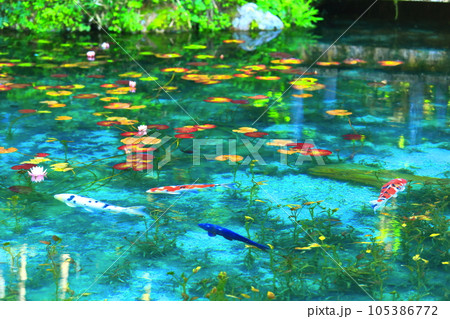 【岐阜県】名もなき池（モネの池）の絶景 105386772