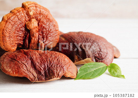 Lingzhi or Reishi mushroom with capsules, organic natural healthy food. Lingzhi or Reishi mushroom with capsules, organic natural healthy food. 105387182