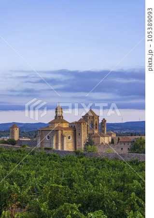 Royal Abbey of Santa Maria de Poblet, cistercian monastery, Catalonia, Spain 105389093