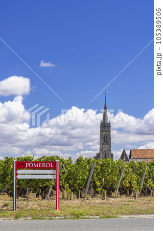 Typical vineyards near Pomerol, Aquitaine, France 105389506