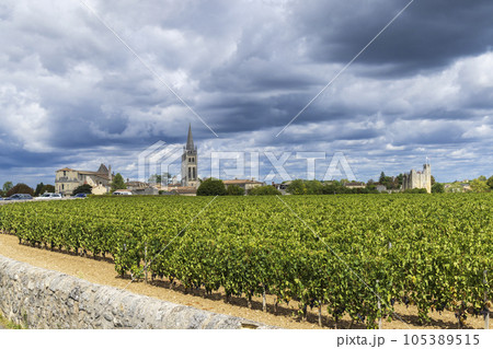 Vineyards with Saint-Emilion town, Aquitaine, Gironde, France 105389515