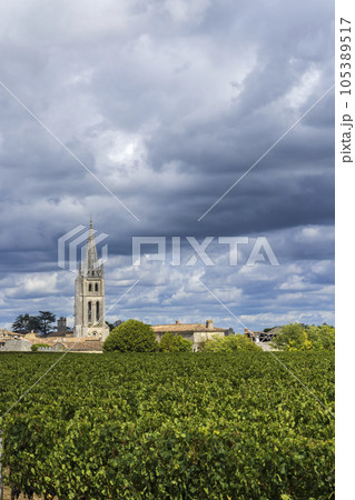 Vineyards with Saint-Emilion town, Aquitaine, Gironde, France 105389517