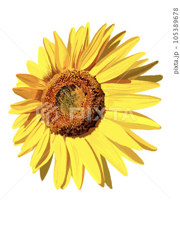 ひまわり（左上向き）のイラスト素材 [105389678] - PIXTA