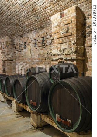 Wine cellars with barrels in Rakvice, Southern Moravia, Czech Republic 105389713