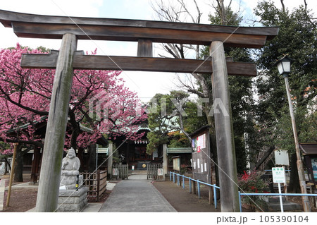 荏原神社 荏原神社 105390104