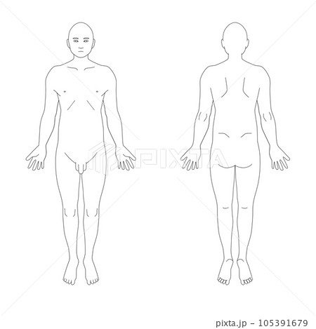 カルテ向け全身シェーマ図(男性) カルテ向け全身シェーマ図(男性) 105391679