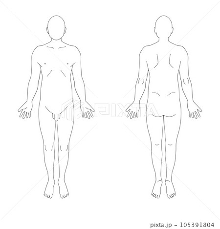 カルテ向け全身シェーマ図(男性 顔無し) カルテ向け全身シェーマ図(男性 顔無し) 105391804