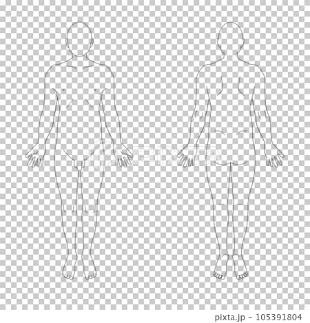 カルテ向け全身シェーマ図(男性 顔無し) カルテ向け全身シェーマ図(男性 顔無し) 105391804