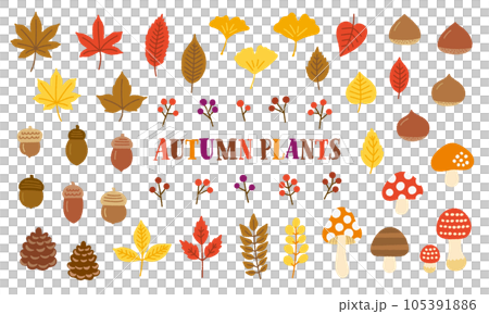 秋の植物の手書きベクターイラストセット/紅葉・イチョウ・どんぐり・栗・きのこ・赤い実 秋の植物の手書きベクターイラストセット/紅葉・イチョウ・どんぐり・栗・きのこ・赤い実 105391886