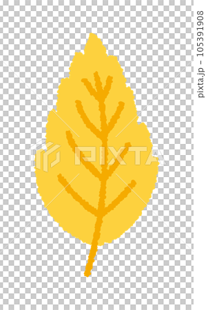 Fallen leaves, leaves, autumn leaves, autumn plants / handwritten vector illustrations Fallen leaves, leaves, autumn leaves, autumn plants / handwritten vector illustrations 105391908