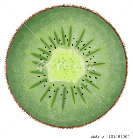 Sliced fresh kiwi 105393004