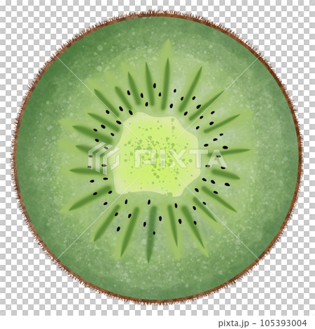 Sliced fresh kiwi 105393004