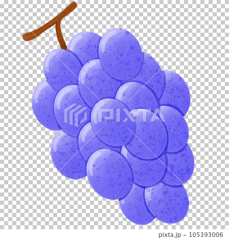 A bunch of purple grapes A bunch of purple grapes 105393006