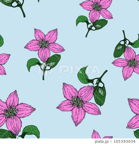 Clematis flower, color pattern on blue, for printing, for tableware, for office fabric and other things. 105393034