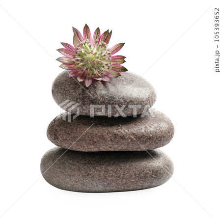 Spa stones and astrantia flower isolated on white 105393652