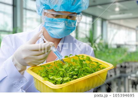 The laboratory assistant makes feeding of plants of samples . 105394695