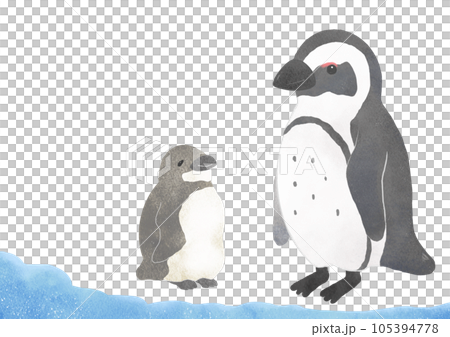 Cute cape penguin parent and child illustration Cute cape penguin parent and child illustration 105394778