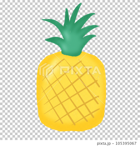 vector illustration of fruit 105395067