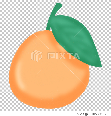 vector illustration of fruit vector illustration of fruit 105395070