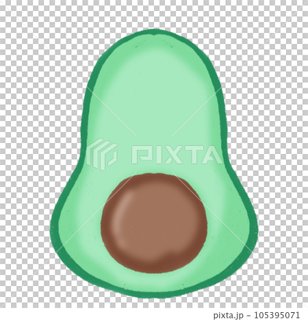 vector illustration of fruit vector illustration of fruit 105395071