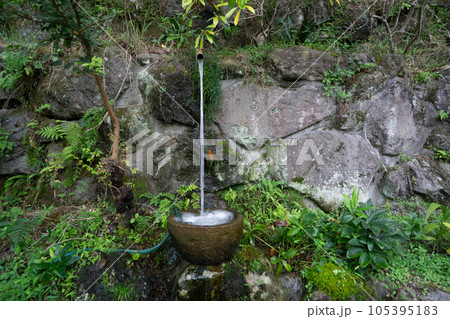 由布市（湯布院町）　鶴見の深水 105395183