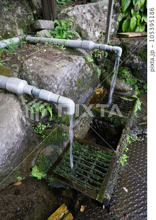 由布市（湯布院町）　鶴見の深水 105395186