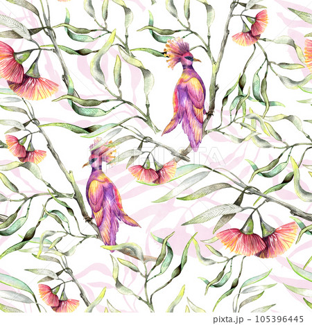 Botany eucaliptus with flowers and pink birds. Seamless pattern watercolor illustraion. 105396445