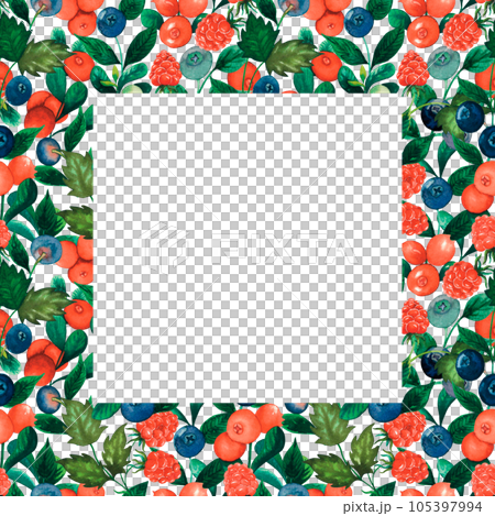 Watercolour raspberry, blueberry, cranberry square frame with forest berries, leaves hand drawn isolated on white. For product design, invitation, banner, background Watercolour raspberry, blueberry, cranberry square frame with forest berries, leaves hand drawn isolated on white. For product design, invitation, banner, background 105397994