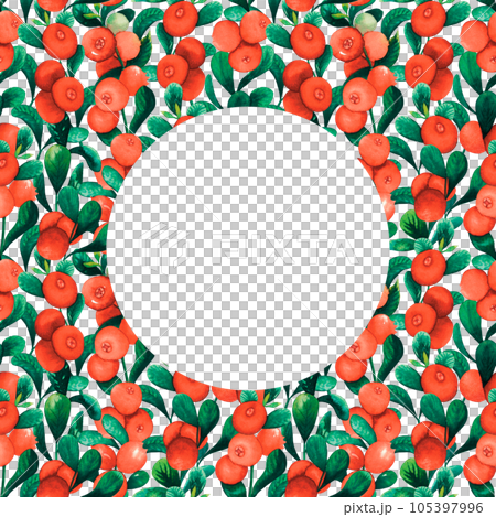 Seamless watercolour cranberry cowberry round frame with berries and leaves hand drawn illustration isolated on white. red huckleberry, red billberry, whortleberry, foxberry Seamless watercolour cranberry cowberry round frame with berries and leaves hand drawn illustration isolated on white. red huckleberry, red billberry, whortleberry, foxberry 105397996