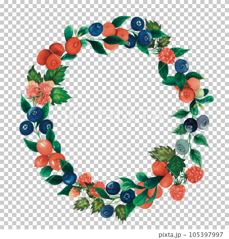 Watercolour cranberry, blueberry, raspberry wreath with forest berries and leaves. Hand drawn illustration for invitation, cards, product design isolated on white Watercolour cranberry, blueberry, raspberry wreath with forest berries and leaves. Hand drawn illustration for invitation, cards, product design isolated on white 105397997