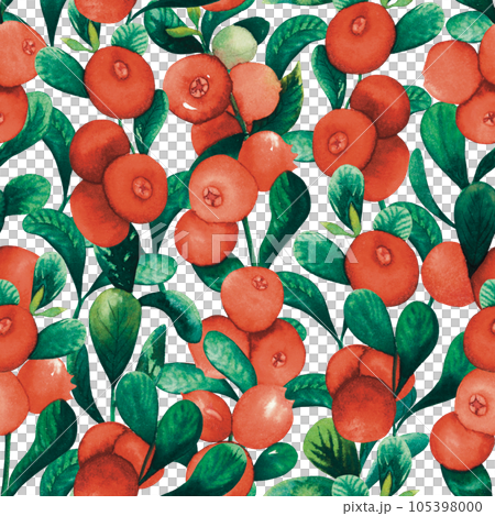 Seamless watercolour cranberry cowberry pattern with berries and leaves hand drawn illustration isolated on white. red huckleberry, red billberry, whortleberry, foxberry Seamless watercolour cranberry cowberry pattern with berries and leaves hand drawn illustration isolated on white. red huckleberry, red billberry, whortleberry, foxberry 105398000