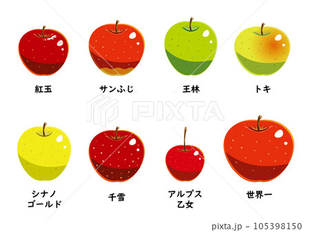 りんご品種　セット　シンプル 105398150