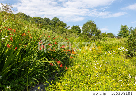 中之条　山の上庭園 105398181