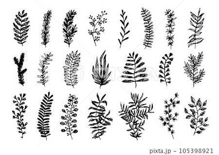 Set of sketch vector black ink hand drawn tropical leaves, exotic plant branches. Trendy collection of doodle floral elements for pattern design, greeting card decoration, logo, banner, wallpaper 105398921