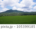 筑波山 105399185