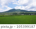 筑波山 105399187