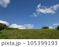 ジブリの青空 105399193