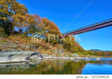秋の埼玉県長瀞町の長瀞ラインくだり(金石水管橋と紅葉) 105399629