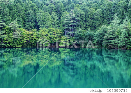 夏の南伊奈ヶ湖 夏の南伊奈ヶ湖 105399753
