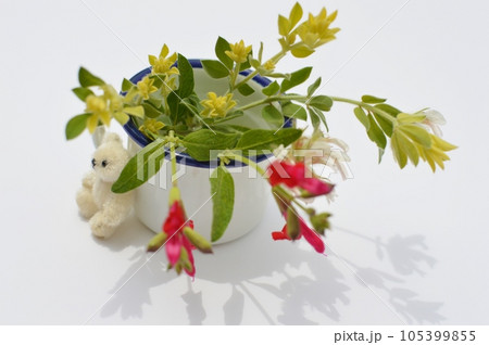 ロータスブリムストーンの小さなアレンジとテディベア 105399855