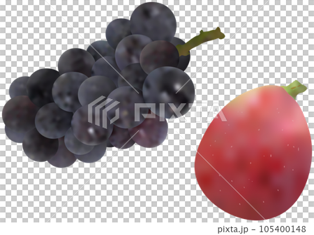 "Grape" New Pione and "Fig" 105400148