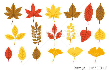 秋の植物の手書きベクターイラストセット/紅葉・イチョウ・カエデ・葉っぱ・落ち葉 秋の植物の手書きベクターイラストセット/紅葉・イチョウ・カエデ・葉っぱ・落ち葉 105400179