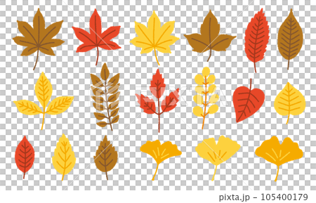 手繪矢量插圖集秋季植物/秋葉、銀杏、楓樹、樹葉、落葉 105400179