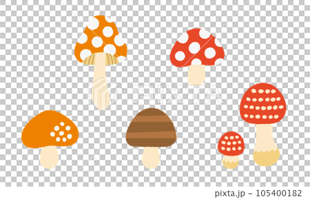 秋季植物/蘑菇的手繪矢量插圖集 秋季植物/蘑菇的手繪矢量插圖集 105400182